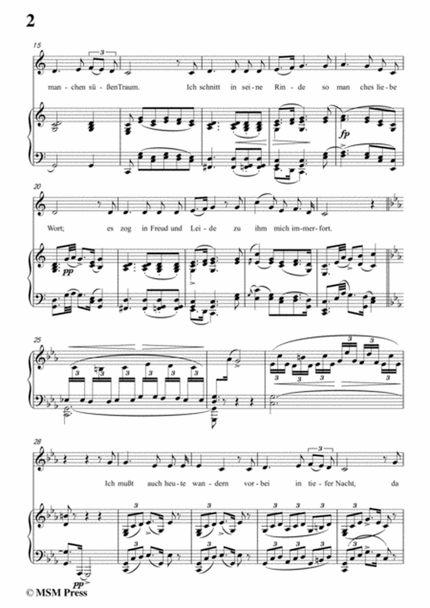 Schubert-Der Lindenbaum,Op.89,No.5,in C Major,for Voice and Piano image number null