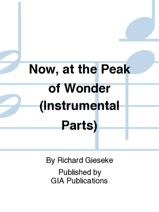 Book cover for Now, at the Peak of Wonder - Instrument edition