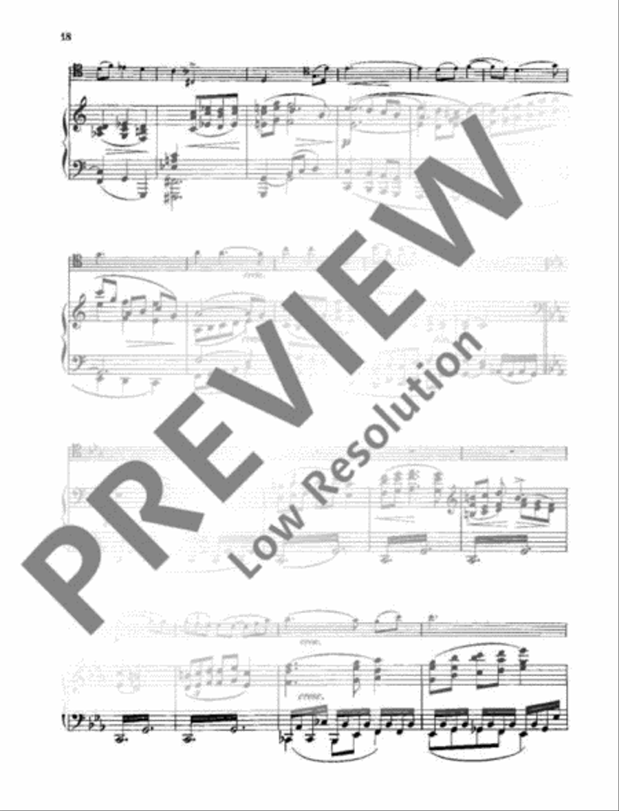 Sonata E minor Sonata E minor Piano Accompaniment scores gallery preview page 21