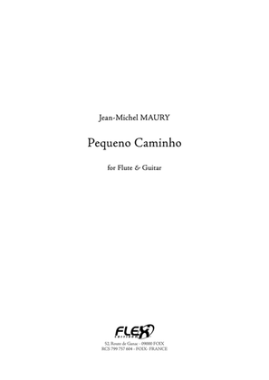 Book cover for Pequeno Caminho