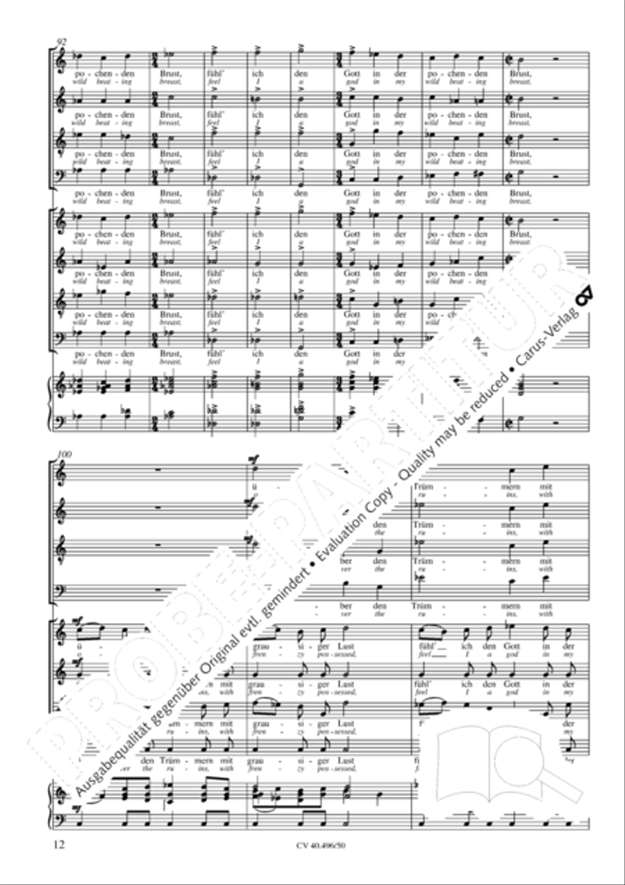 To the stormwind (An den Sturmwind) 4-Part scores gallery preview page 13