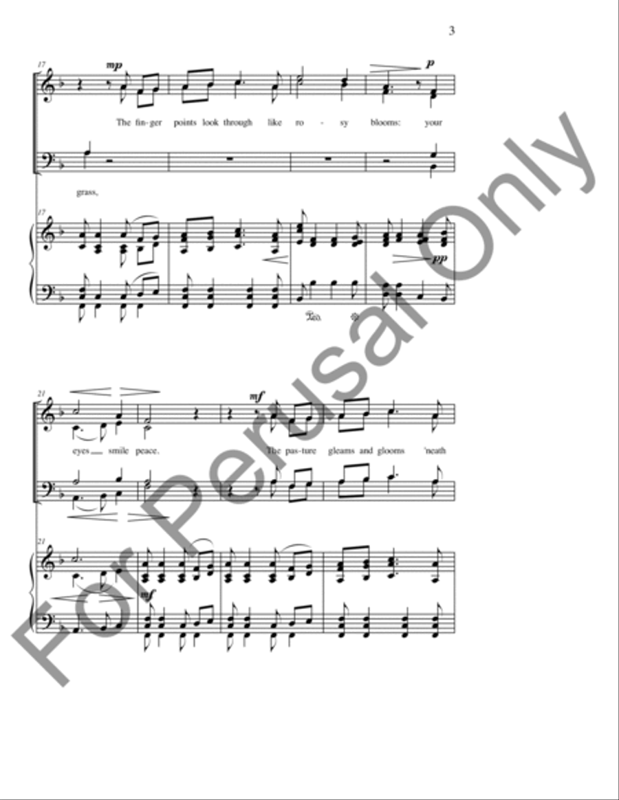 Silent Noon 4-Part scores gallery preview page 4