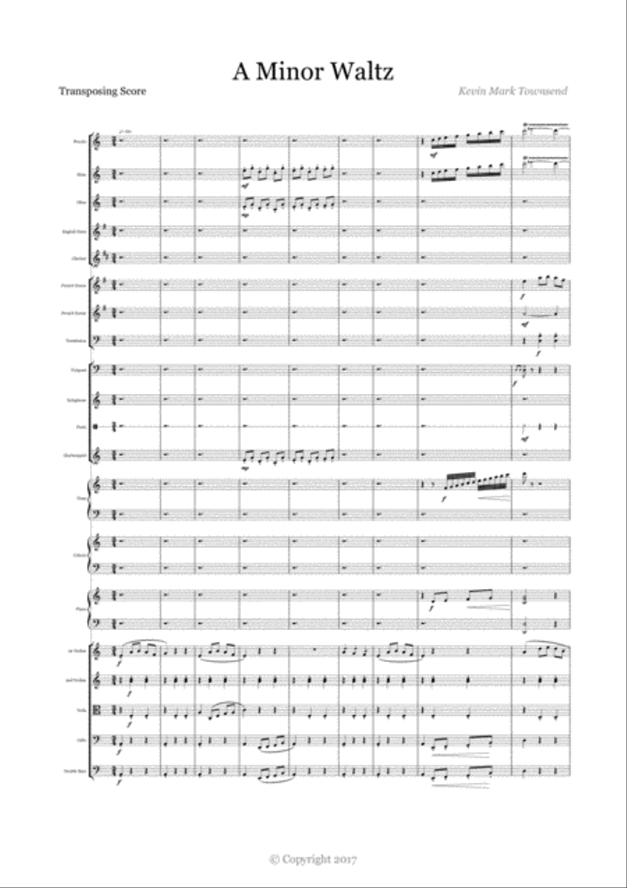 A Minor Waltz Full Orchestra scores gallery preview page 1