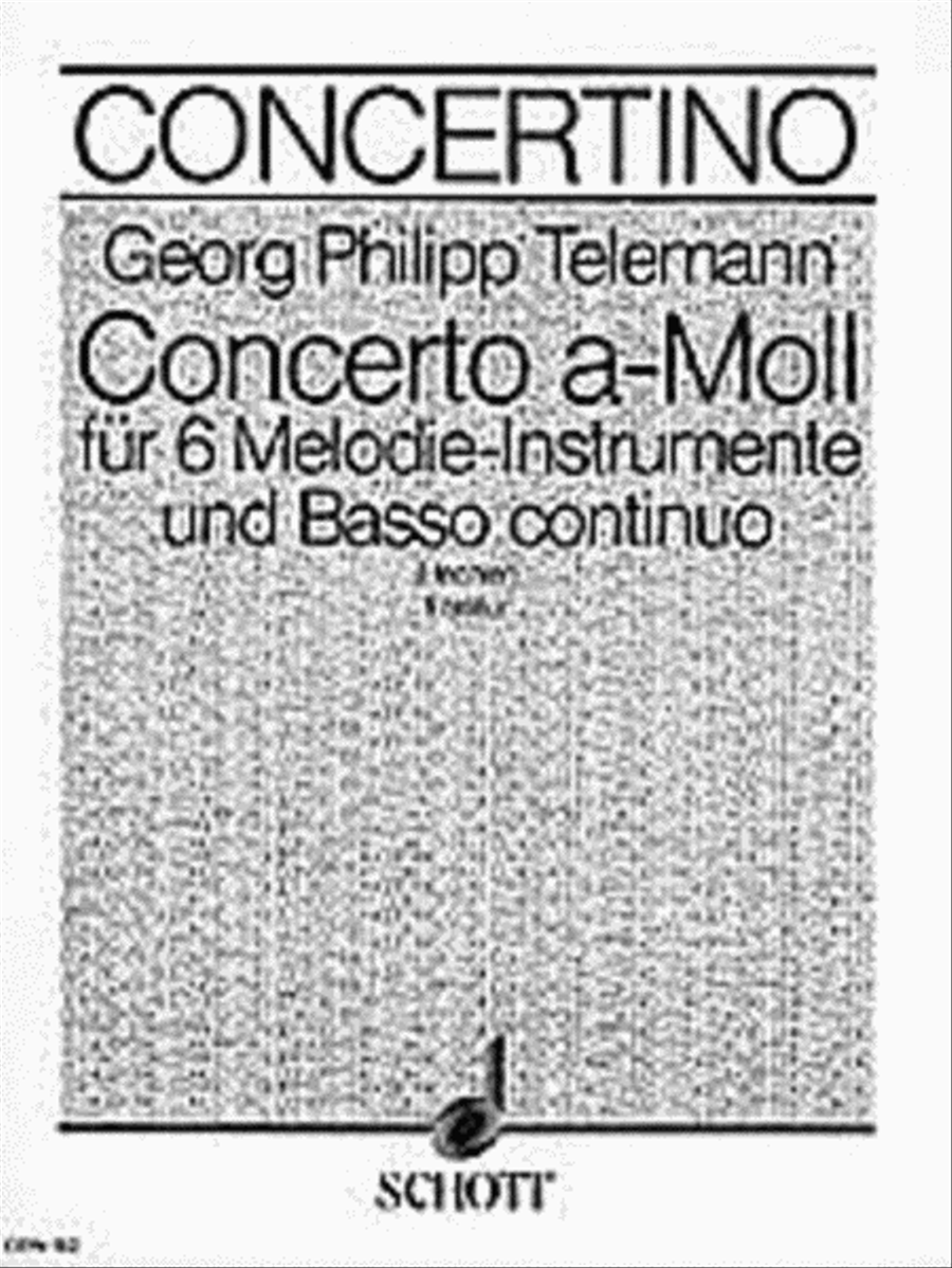 Concerto A Min 2 Rec Full Score Chamber Orchestra scores gallery preview page 1