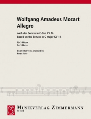 Book cover for Allegro based on the sonata C major