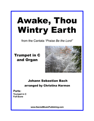 Book cover for Awake, Thou Wintry Earth - One Trumpet and Organ