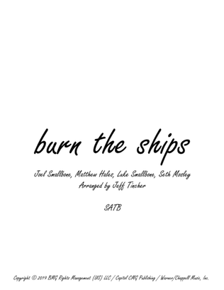 Book cover for Burn The Ships