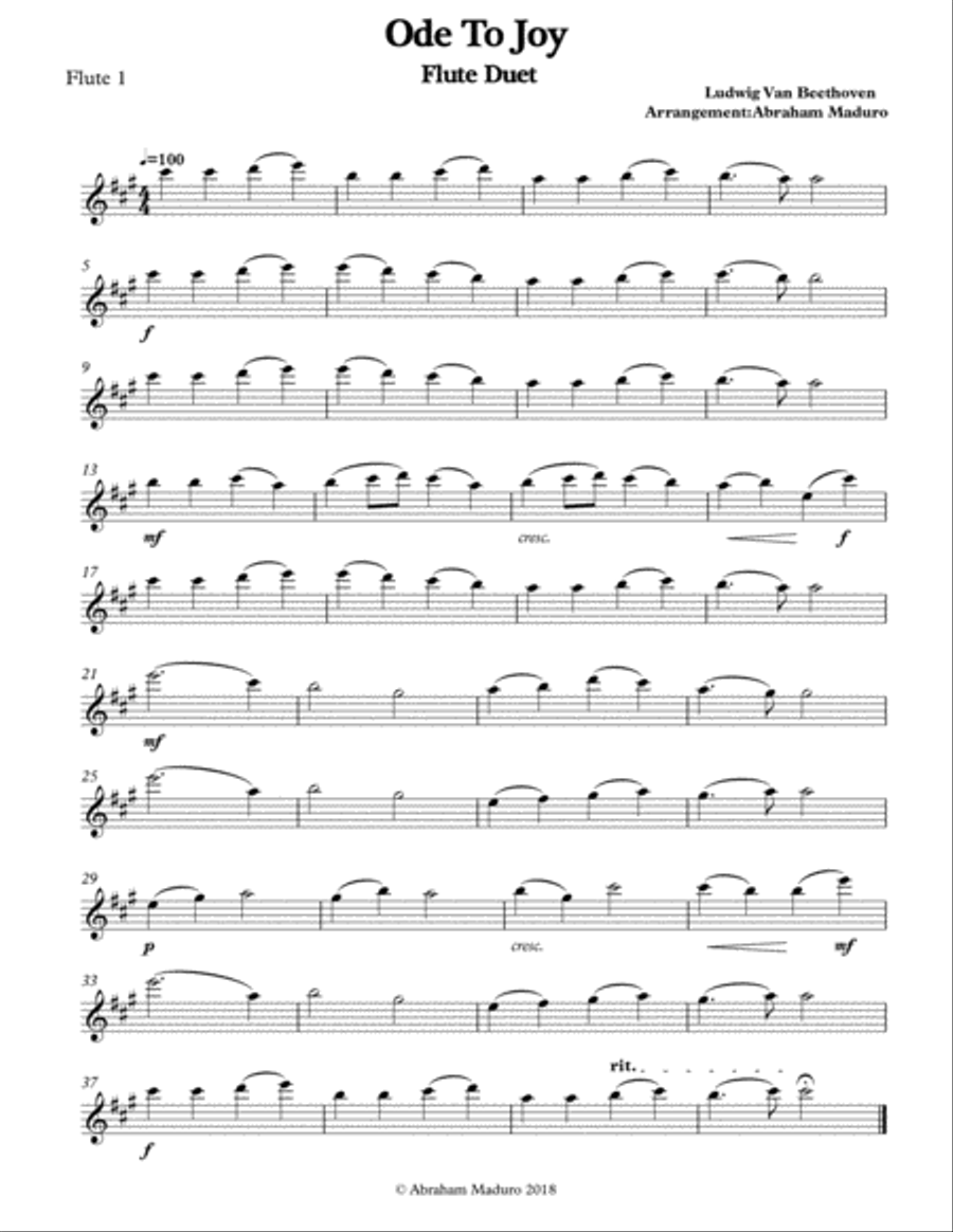 Beethoven`s Ode to Joy Flute Duet-Three Tonalities Included Flute Duet scores gallery preview page 4