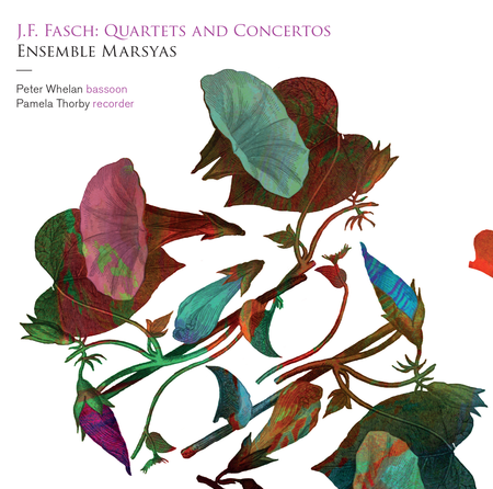 Quartets & Concertos image number null