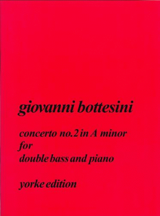 Book cover for Concerto In A Minor Vol. 2