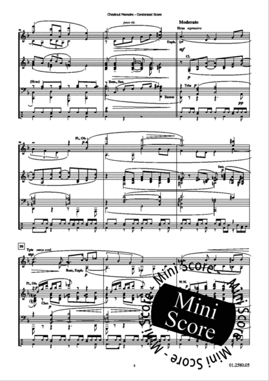 Chestnut Memoires Chestnut Memoires Concert Band scores gallery preview page 22