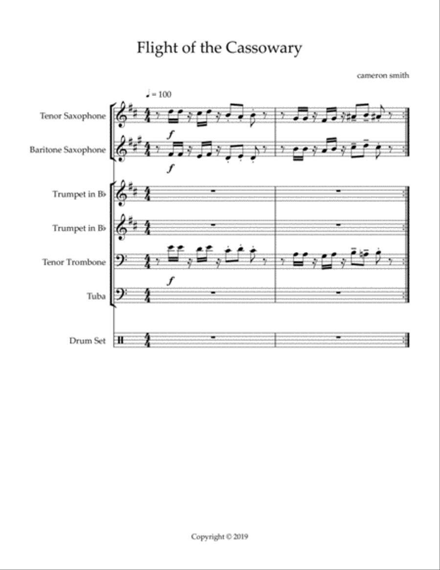 Flight of the Cassowary (for NOLA brass band) Brass Band scores gallery preview page 2