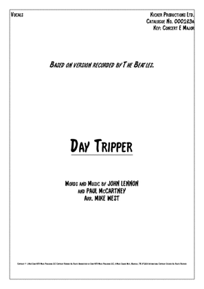 Book cover for Day Tripper