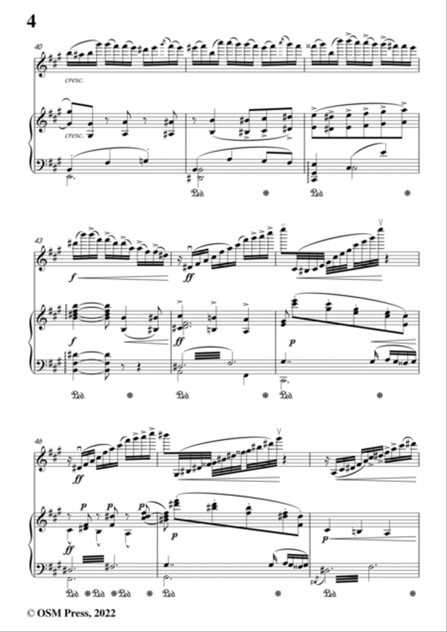 Wagner-In das Album der Fürstin Metternich(Romanze),WWV 94 Violin Solo scores gallery preview page 6