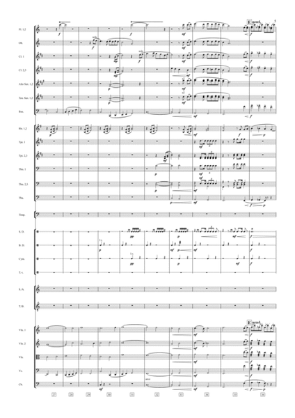 Danny Boy for Orchestra and Choir by Traditional 4-Part - Digital Sheet Music