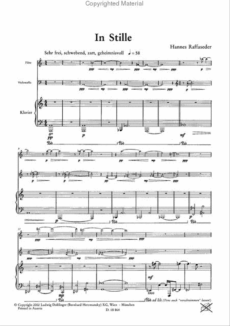 In Stille - Aufschrei! (1997 / 98) Flute scores gallery preview page 2