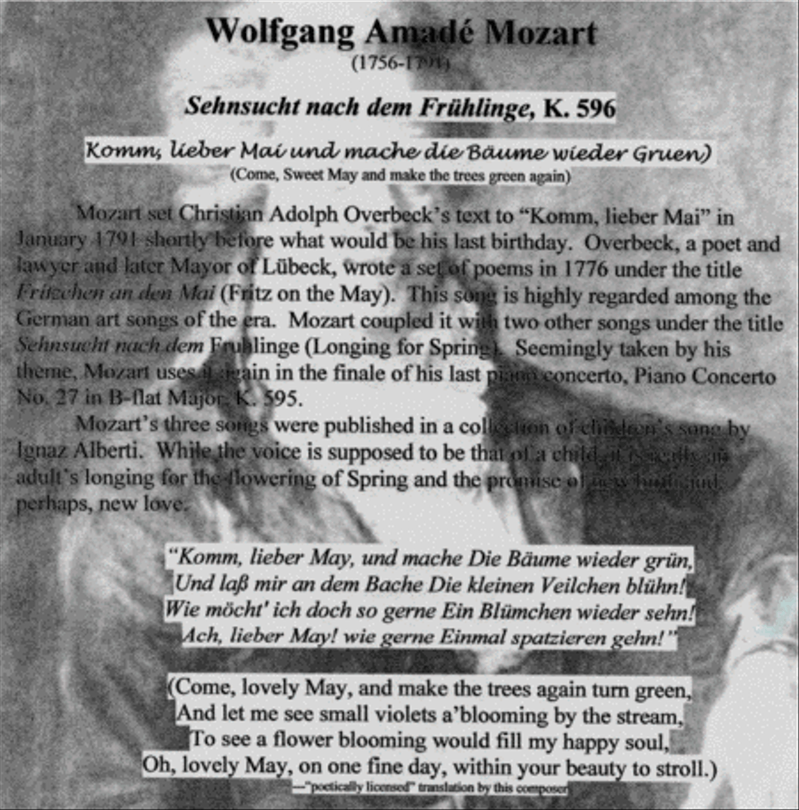 Variations on a Theme of Mozart for Young Violist and Piano Viola scores gallery preview page 3