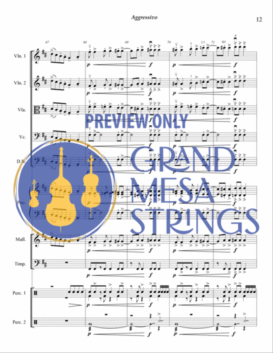 Aggressivo for Strings & Percussion String Orchestra scores gallery preview page 13