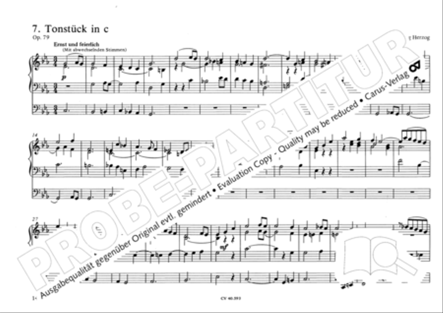 Free Organ Music from the Romantic Period, Vol. I (Freie Orgelmusik der Romantik, Band I) Organ scores gallery preview page 19