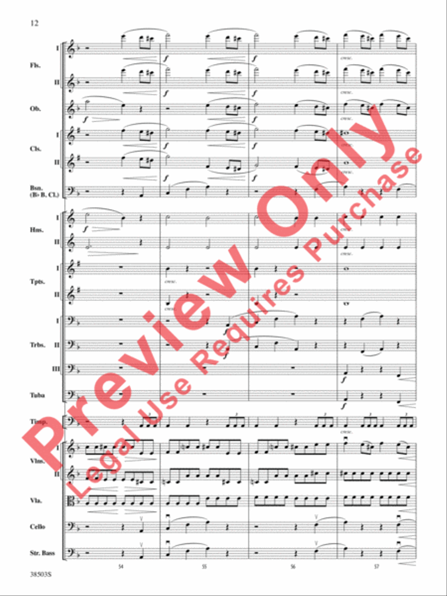 Tragic Overture Full Orchestra scores gallery preview page 13