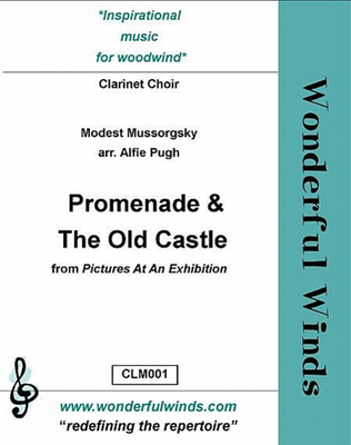 Book cover for Promenade And The Old Castle