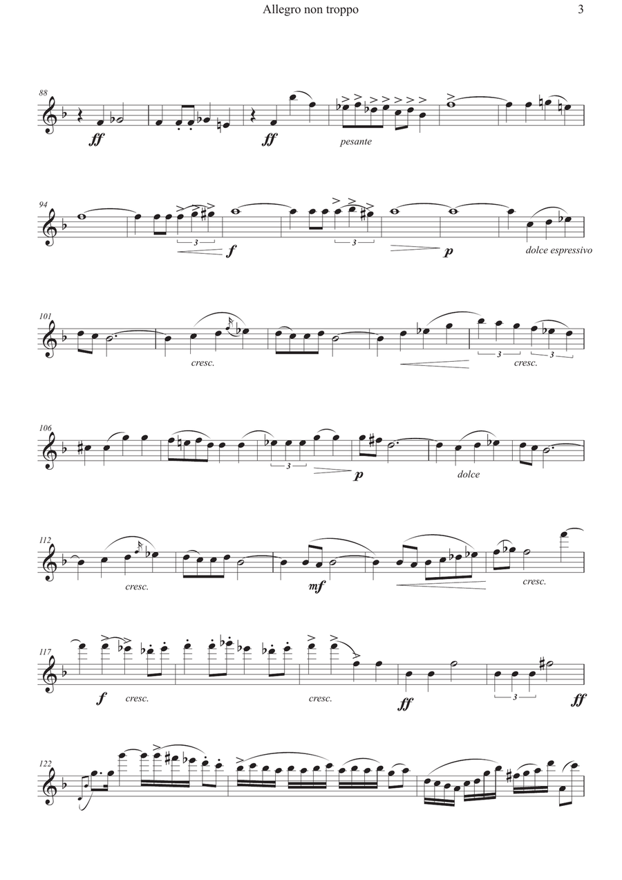 Allegro non Troppo, Edouard Lalo Symphonie Espagnole Flute Solo scores gallery preview page 3