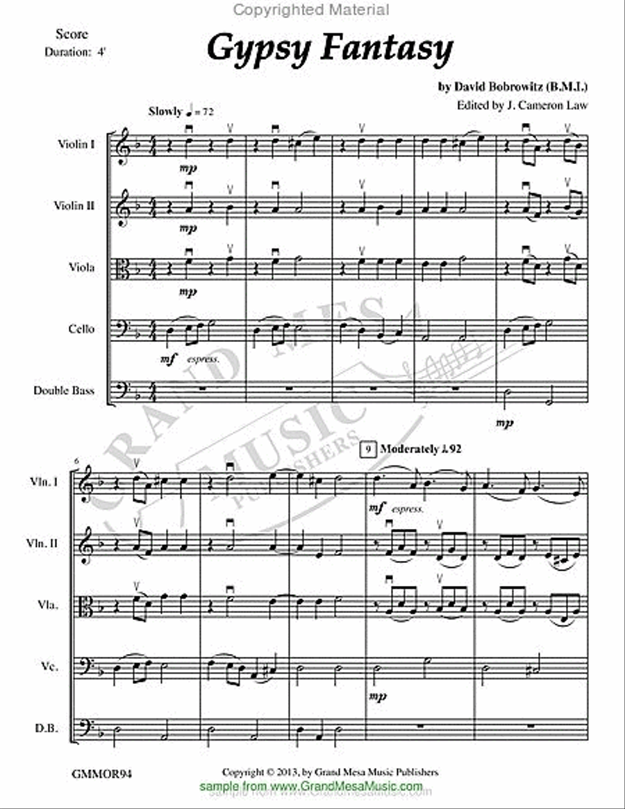 Gypsy Fantasy Gypsy Fantasy String Orchestra scores gallery preview page 2