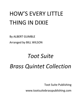 Book cover for How's Every Little Thing in Dixie