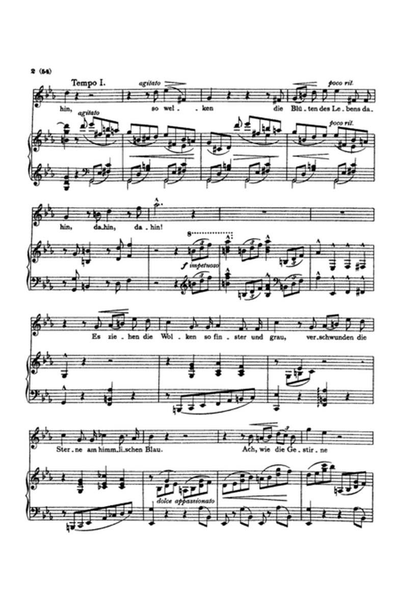 Liszt: Songs, Volume III, Nos. 1-22 (German)