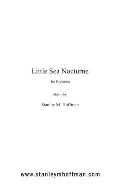 Little Sea Nocturne image number null