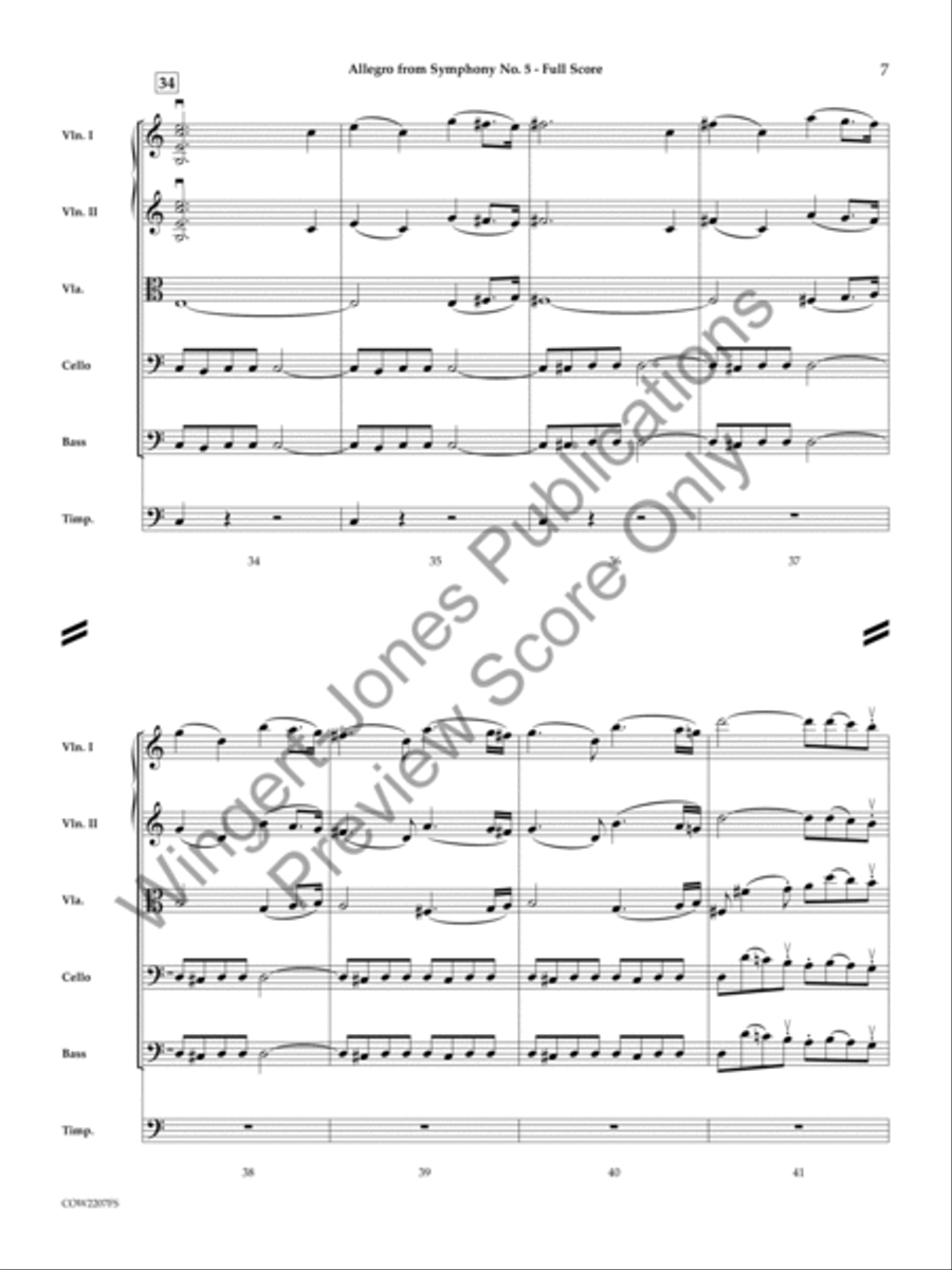 Allegro String Orchestra scores gallery preview page 6