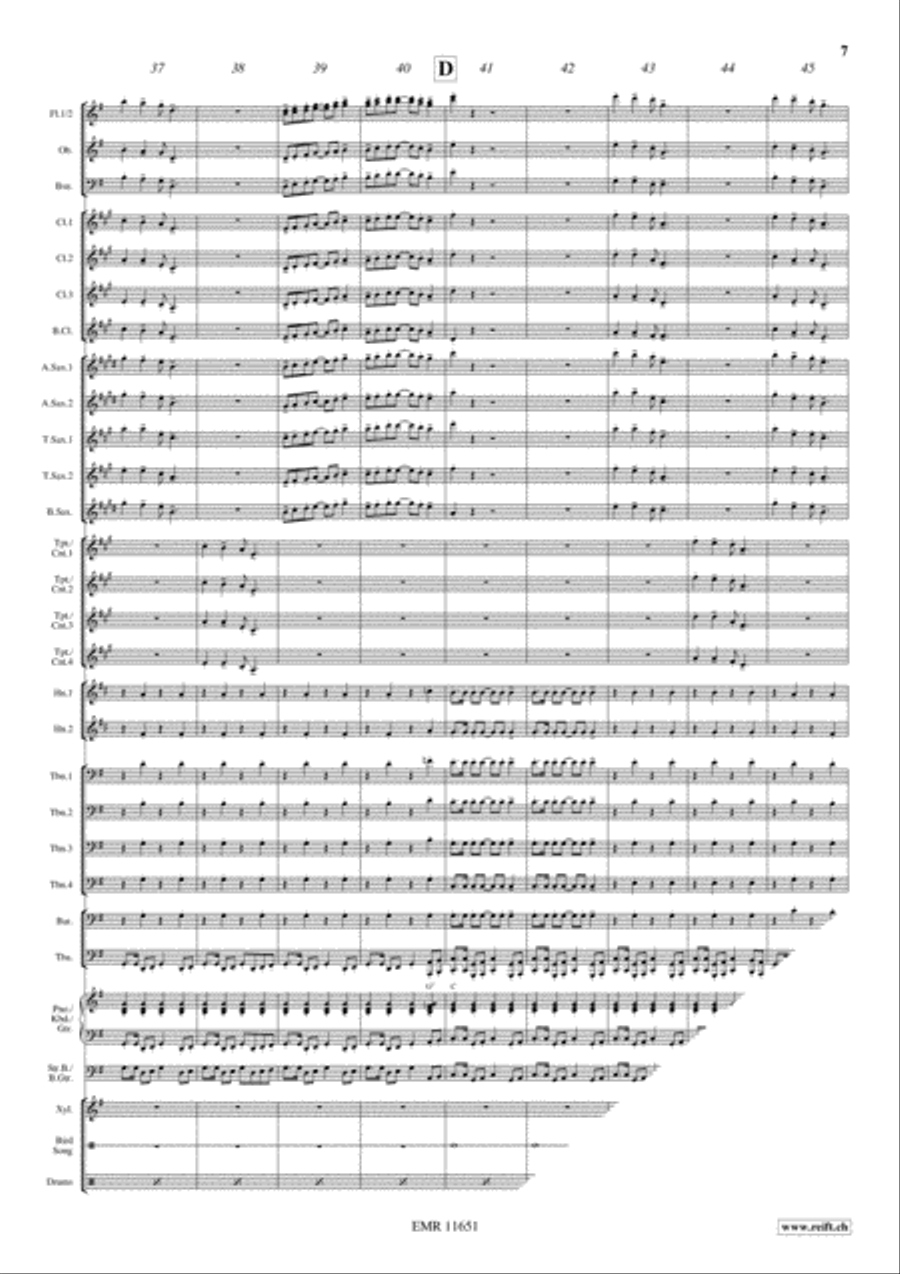 Disco Bird Concert Band scores gallery preview page 8