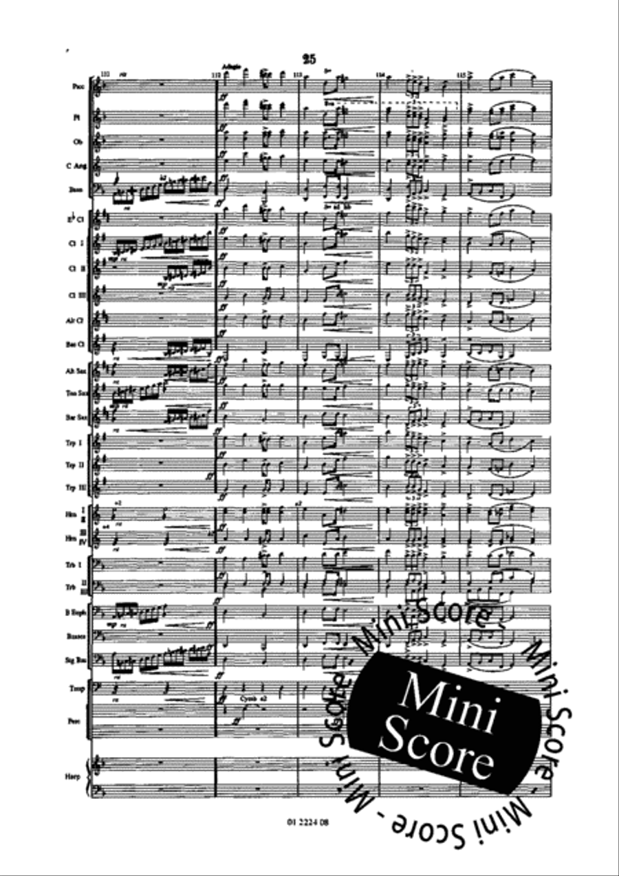 Sarka Overture Sarka Overture Concert Band scores gallery preview page 29