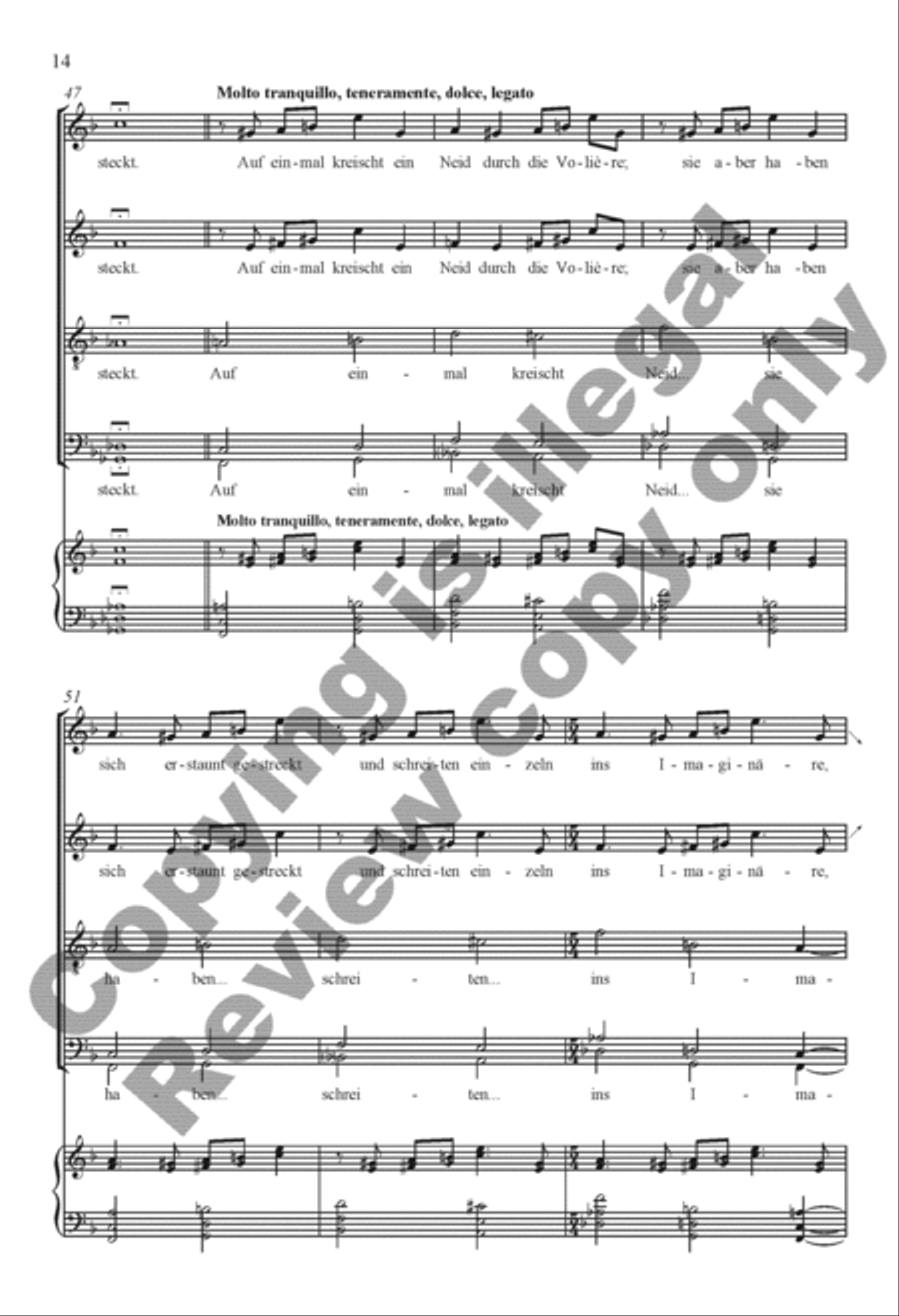 Rilke Songs: 3. Die Flamingos Divisi scores gallery preview page 13