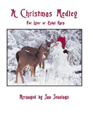 Book cover for A Christmas Medley