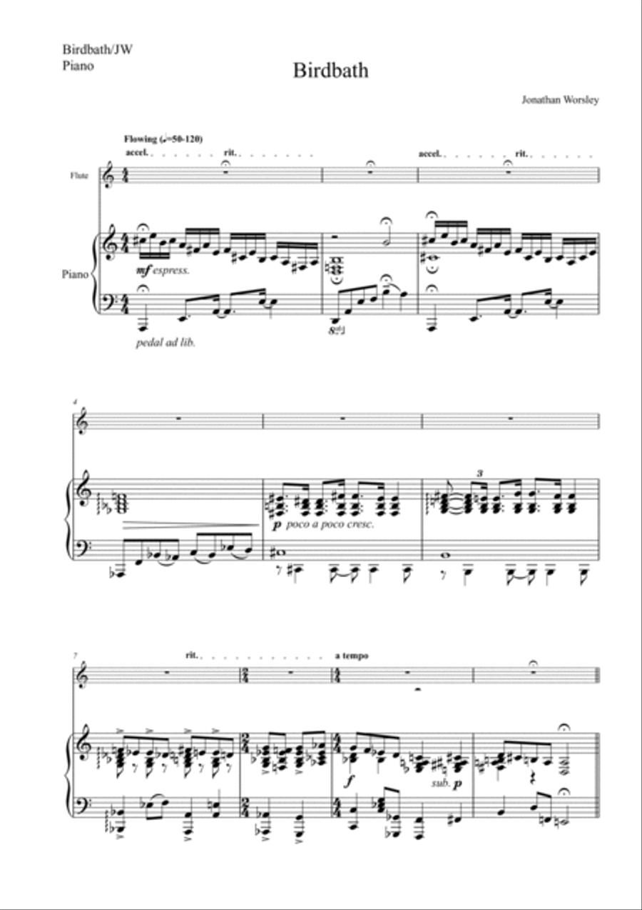 Birdbath Flute Solo scores gallery preview page 3
