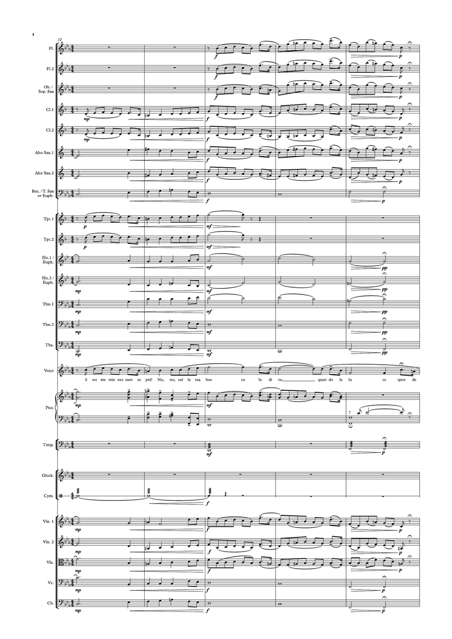 Nessun dorma Chamber Orchestra scores gallery preview page 6