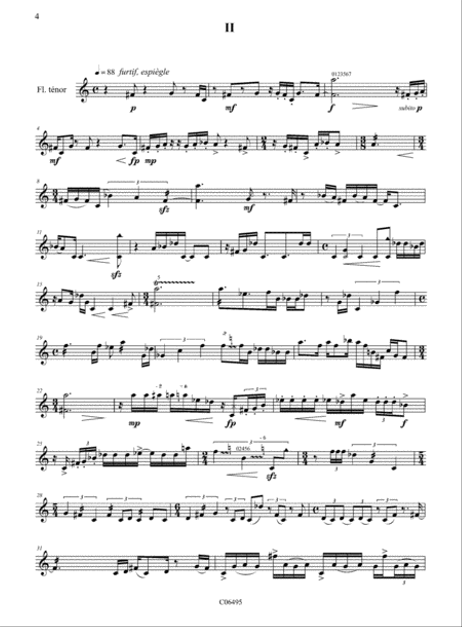 Sky over roots Recorder scores gallery preview page 2