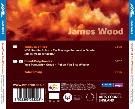 James Wood: Tongues of Fire - Cloud Polyphonies