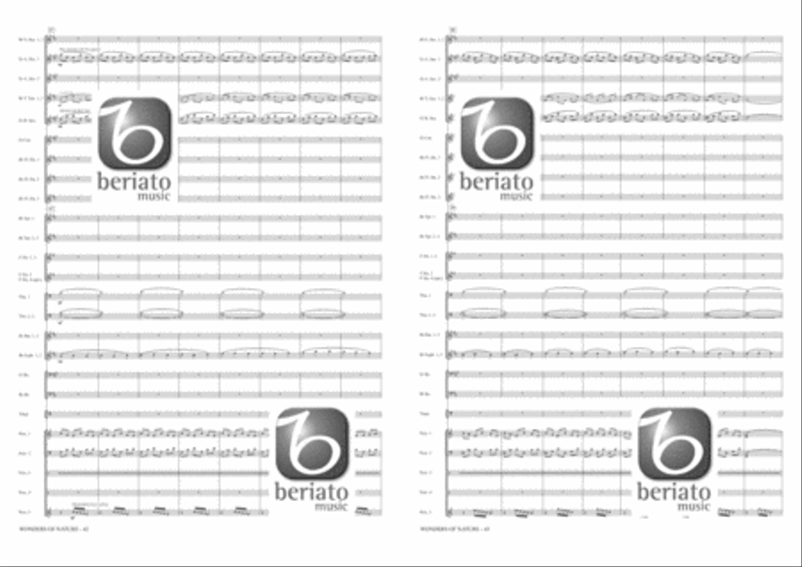 Wonders of Nature Fanfare Band scores gallery preview page 15
