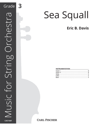 Sea Squall