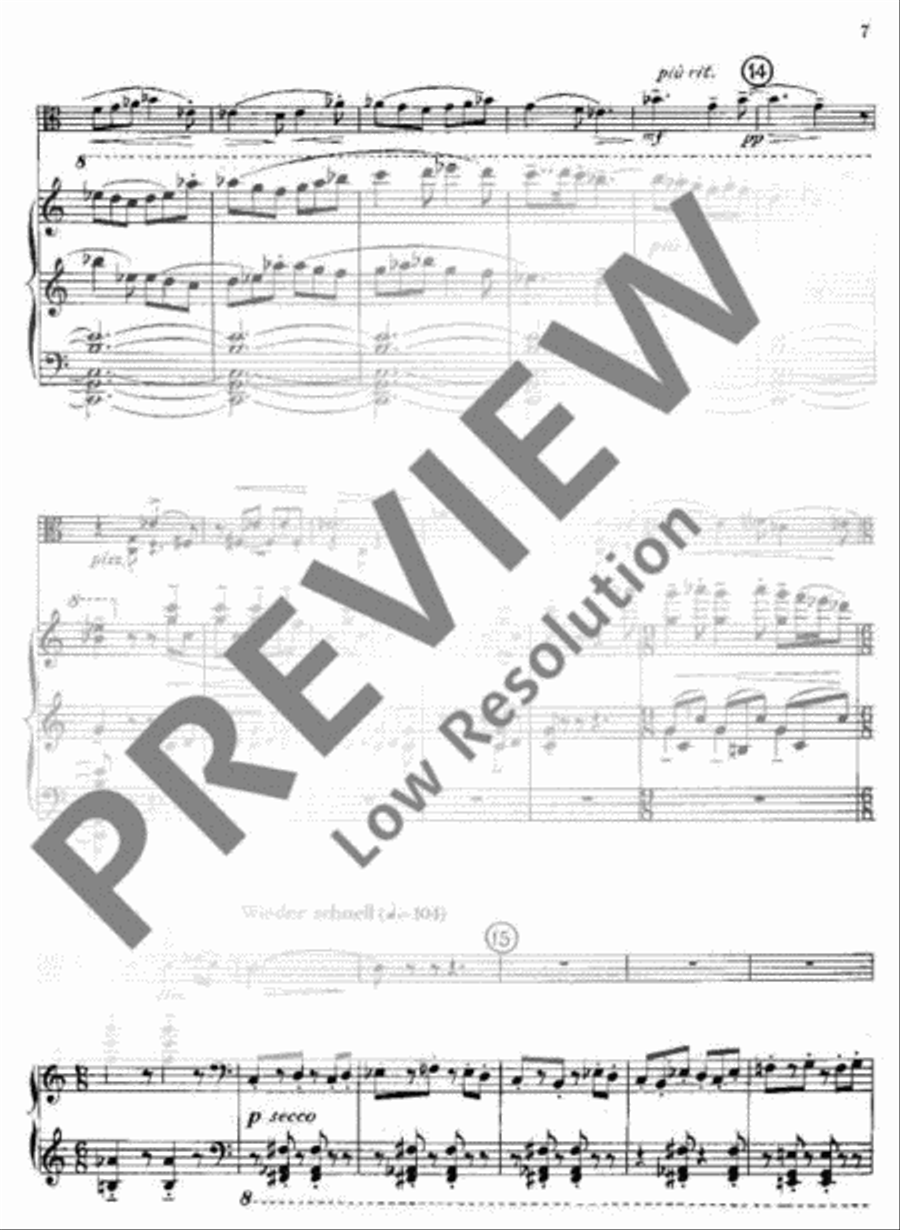 Musik Piano Accompaniment scores gallery preview page 12