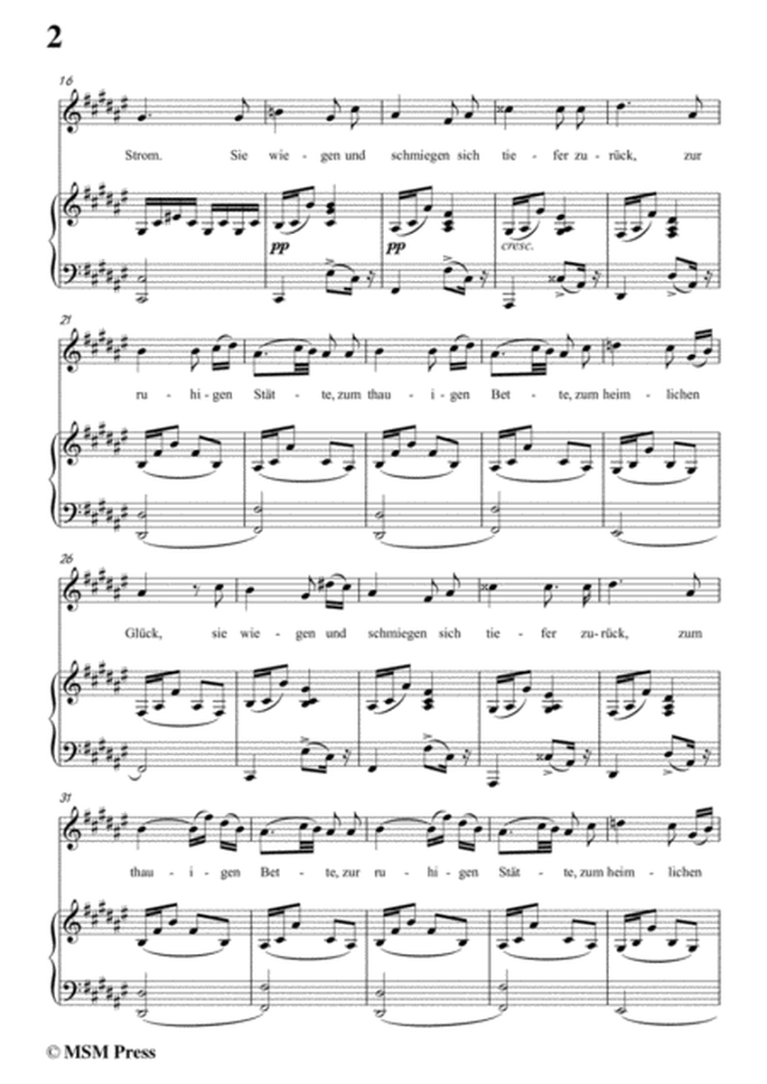Schubert-Beim Winde,in f sharp minor,for Voice&Piano image number null