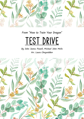 Book cover for Test Drive