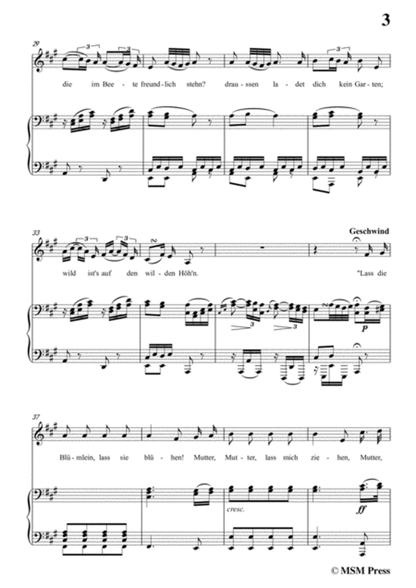 Schubert-Der Alpenjäger,Op.37 No.2,in A Major,for Voice&Piano image number null