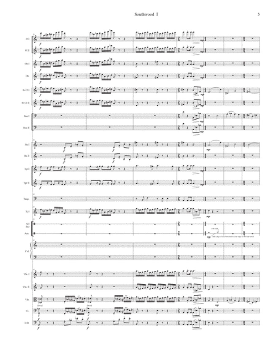 Southwood - Modern Symphony for small orchestra image number null
