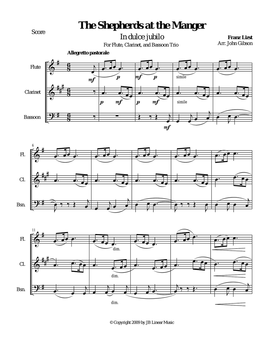 Franz Liszt 