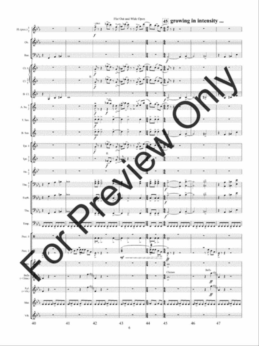 Flat Out and Wide Open Concert Band scores gallery preview page 9