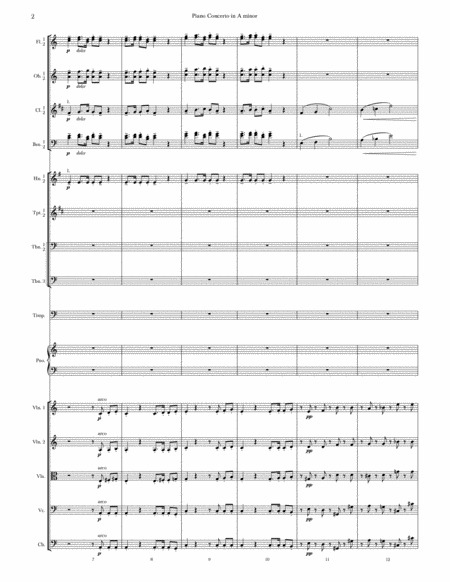 Selections from Piano Concerto in A Minor, 1st Movement (Score & Parts) image number null