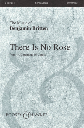 Book cover for There is no Rose